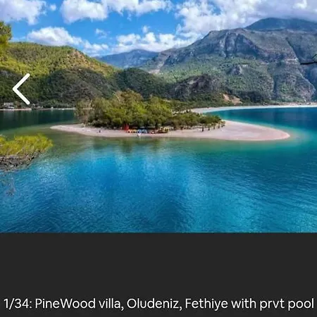 Orka أولدينيس